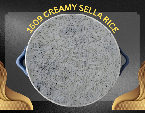 1509 creamy sella basmati rice