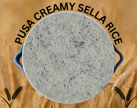 pusa creamy sella basmati rice